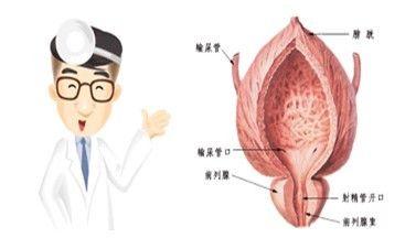 发生前列腺炎