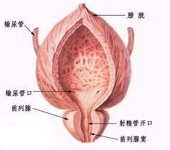 前列腺问题