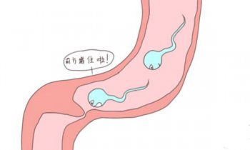 男性射精障碍的原因是什么
